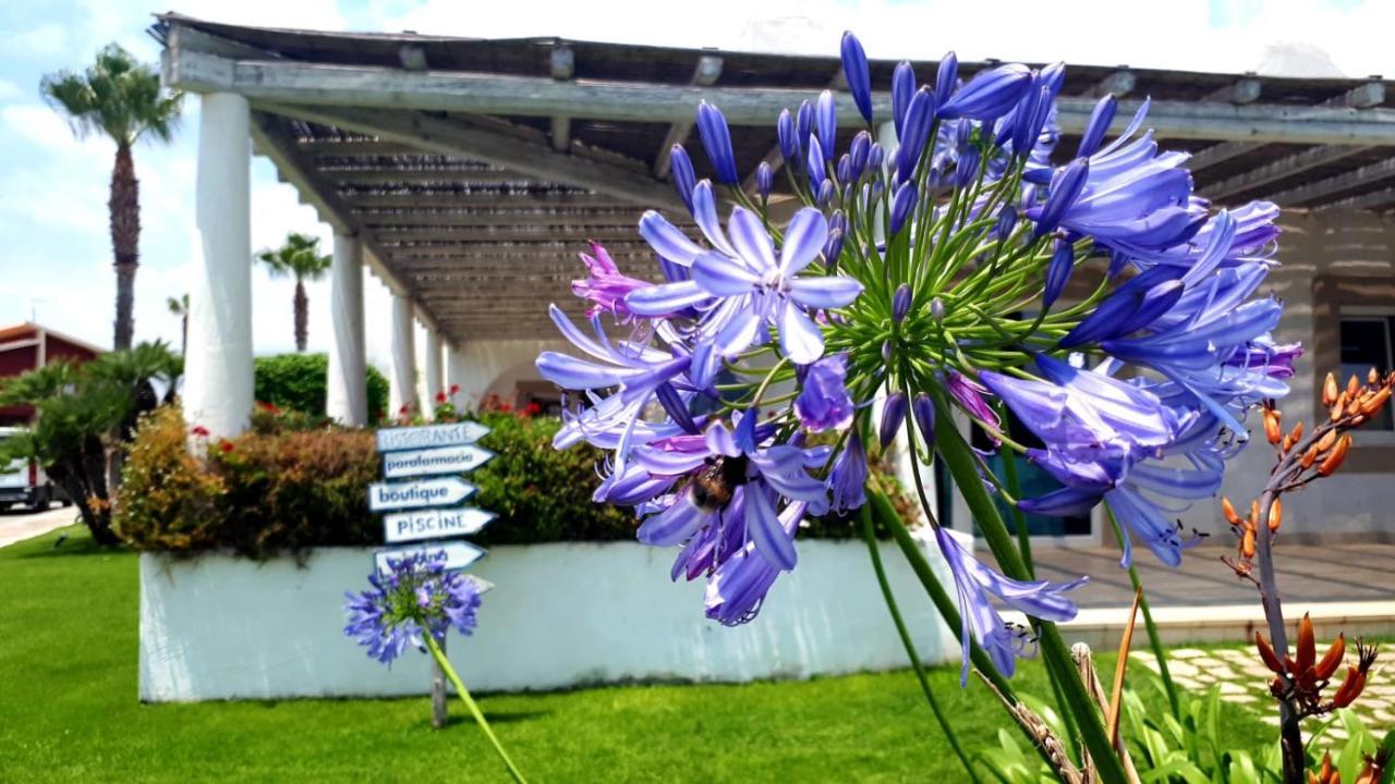 Blue Marine Apartment Pozzallo Exterior foto
